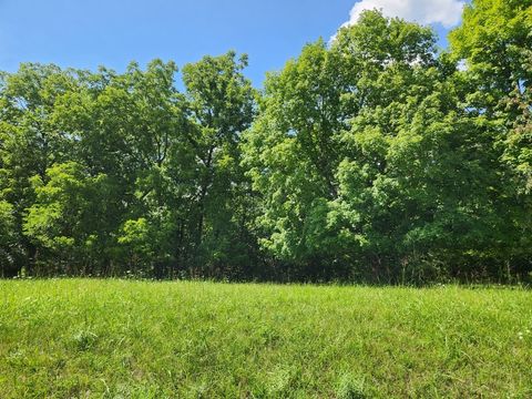 Lot 1073 Greenvalley Court Varna IL 61375