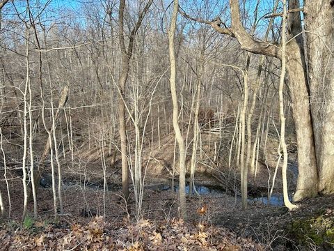 Tiny photo for 22219 Carltons Dell Road, Danville, IL 61834 (MLS # 12593203)