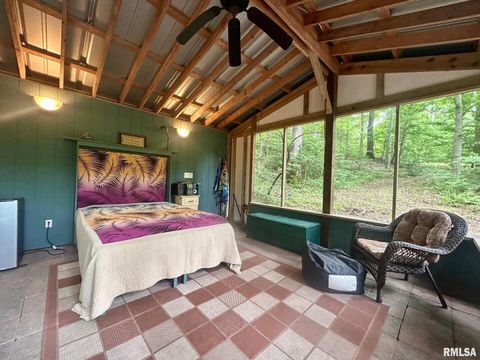 Tiny photo for 310 CROSS CREEK Drive, Cobden, IL 62920 (MLS # EB458390)