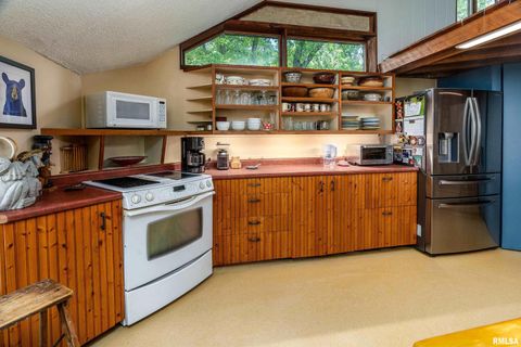 Tiny photo for 310 CROSS CREEK Drive, Cobden, IL 62920 (MLS # EB458390)