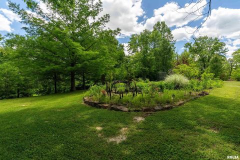 Tiny photo for 310 CROSS CREEK Drive, Cobden, IL 62920 (MLS # EB458390)