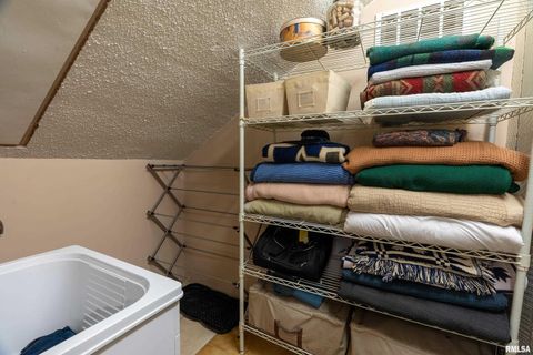 Tiny photo for 310 CROSS CREEK Drive, Cobden, IL 62920 (MLS # EB458390)