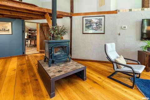 Tiny photo for 310 CROSS CREEK Drive, Cobden, IL 62920 (MLS # EB458390)