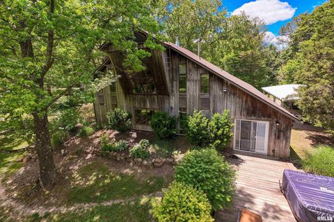 Tiny photo for 310 CROSS CREEK Drive, Cobden, IL 62920 (MLS # EB458390)