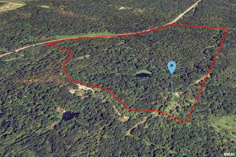 Tiny photo for 310 CROSS CREEK Drive, Cobden, IL 62920 (MLS # EB458390)