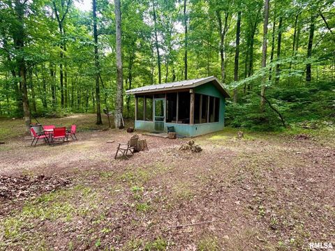 Tiny photo for 310 CROSS CREEK Drive, Cobden, IL 62920 (MLS # EB458390)