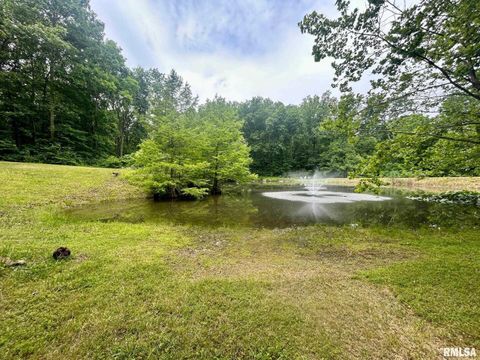 Tiny photo for 310 CROSS CREEK Drive, Cobden, IL 62920 (MLS # EB458390)