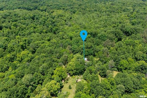 Tiny photo for 310 CROSS CREEK Drive, Cobden, IL 62920 (MLS # EB458390)