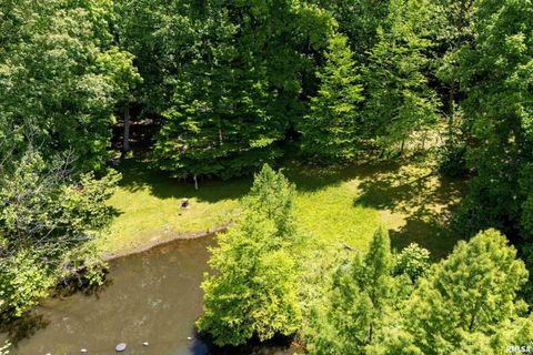 Tiny photo for 310 CROSS CREEK Drive, Cobden, IL 62920 (MLS # EB458390)