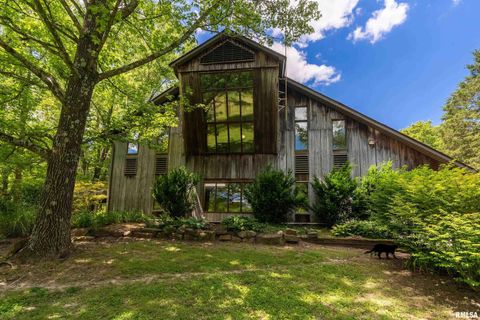 Photo of 310 CROSS CREEK Drive, Cobden, IL 62920 (MLS # EB458390)