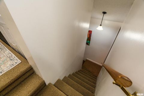 Tiny photo for 310 CROSS CREEK Drive, Cobden, IL 62920 (MLS # EB458390)