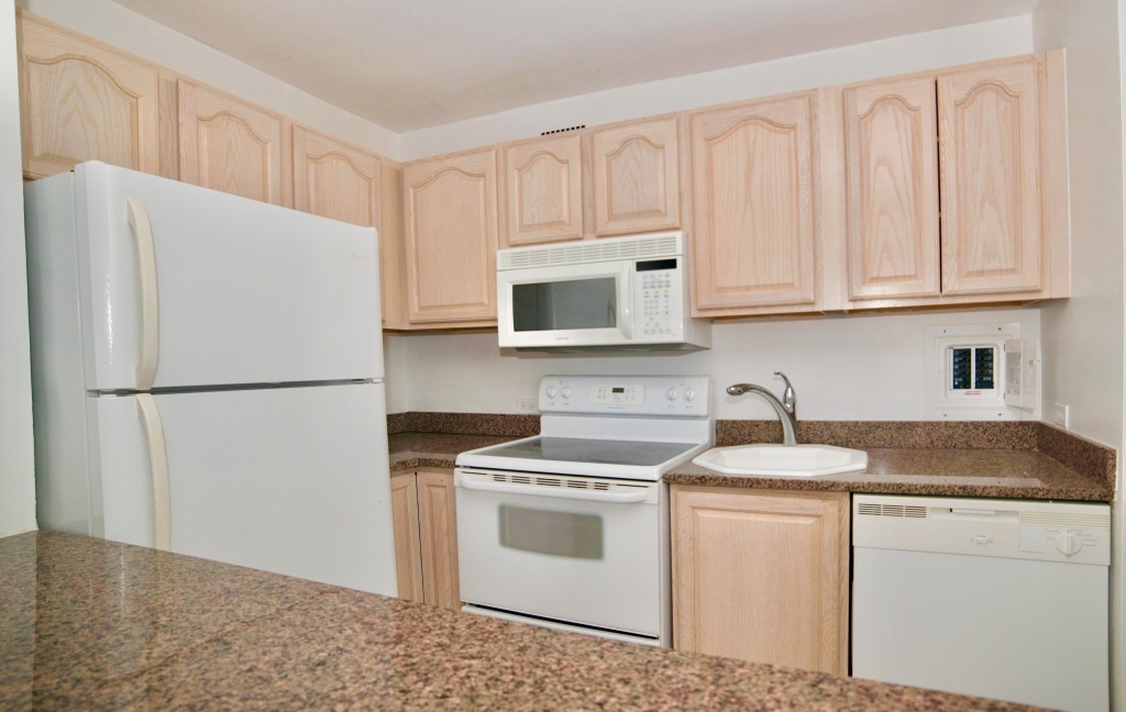535 N Michigan Avenue 1906