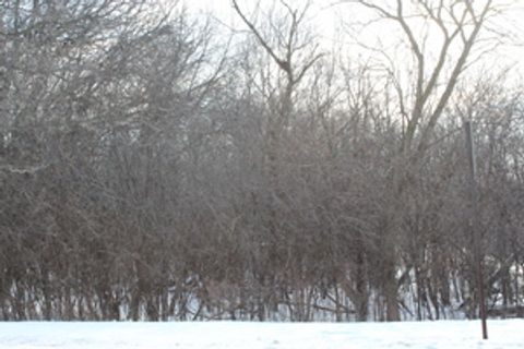 930 N Fairfield Road Round Lake Beach IL 60073