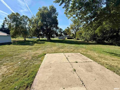Tiny photo for 139 N VAIL Street, Geneseo, IL 61254 (MLS # QC4267503)