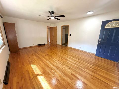 Tiny photo for 139 N Vail Street, Geneseo, IL 61254 (MLS # QC4267503)