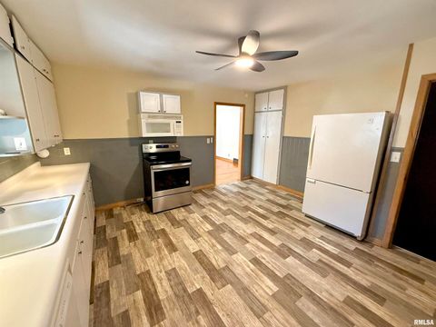 Tiny photo for 139 N VAIL Street, Geneseo, IL 61254 (MLS # QC4267503)