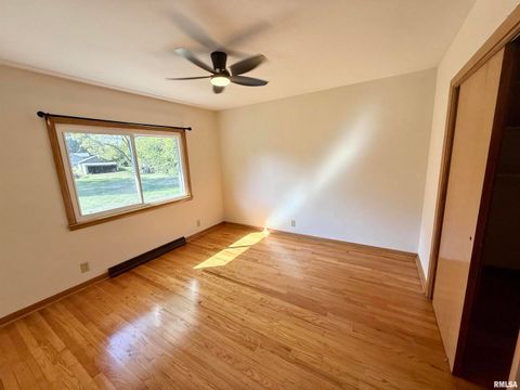 Tiny photo for 139 N Vail Street, Geneseo, IL 61254 (MLS # QC4267503)