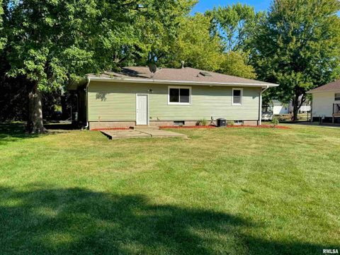 Tiny photo for 139 N Vail Street, Geneseo, IL 61254 (MLS # QC4267503)