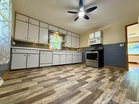 Tiny photo for 139 N Vail Street, Geneseo, IL 61254 (MLS # QC4267503)