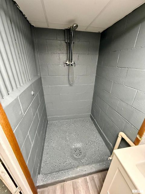 Tiny photo for 139 N Vail Street, Geneseo, IL 61254 (MLS # QC4267503)