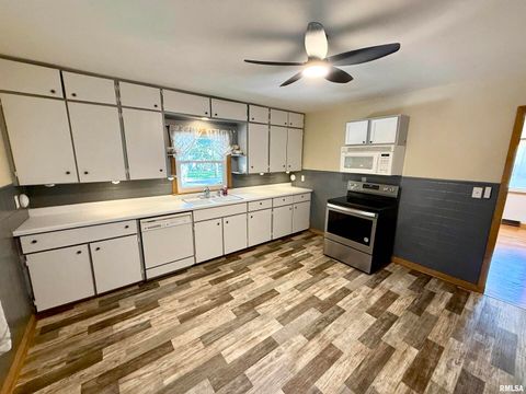 Tiny photo for 139 N VAIL Street, Geneseo, IL 61254 (MLS # QC4267503)