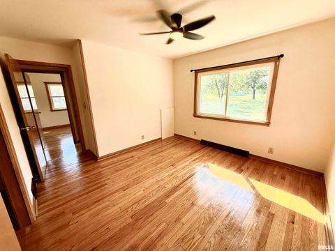 Tiny photo for 139 N VAIL Street, Geneseo, IL 61254 (MLS # QC4267503)