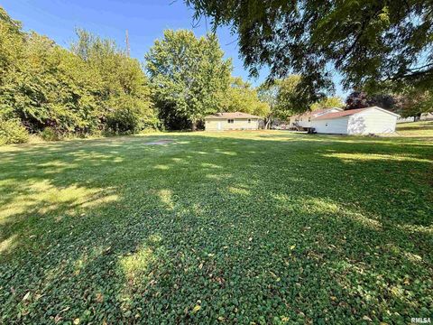 Tiny photo for 139 N Vail Street, Geneseo, IL 61254 (MLS # QC4267503)