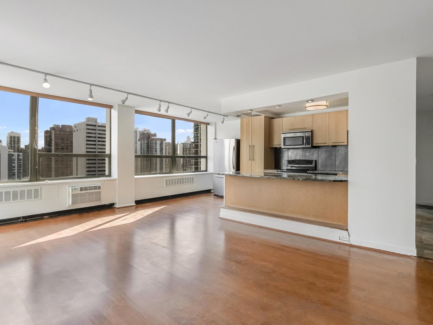 1455 N SANDBURG Terrace 1904