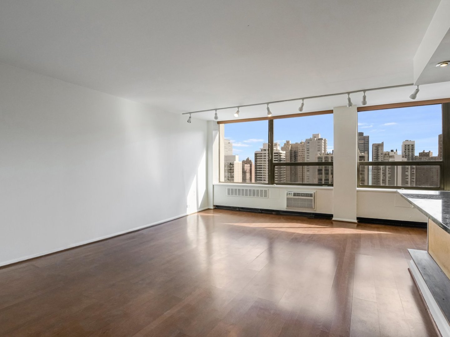 1455 N SANDBURG Terrace 1904