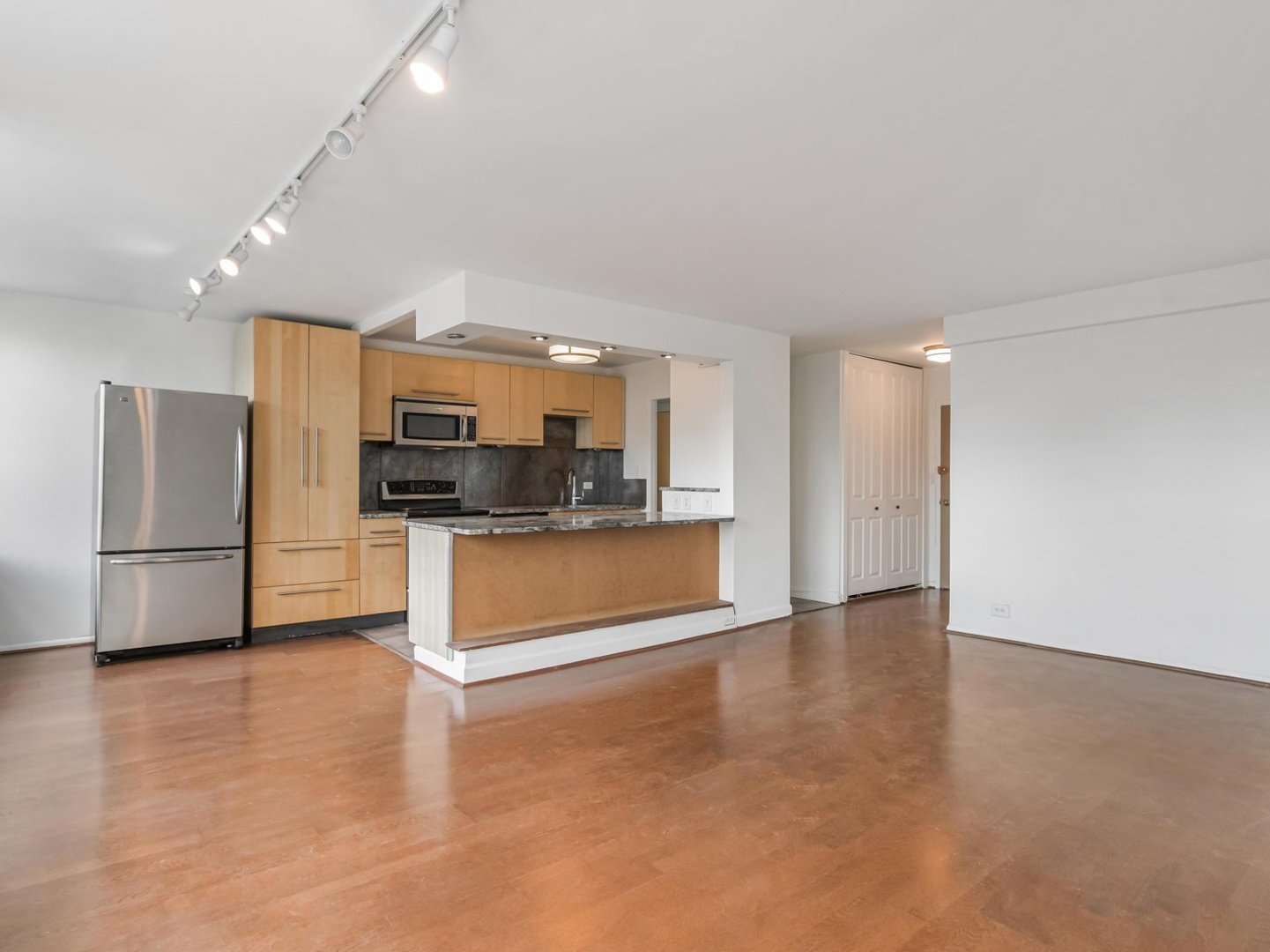 1455 N SANDBURG Terrace 1904