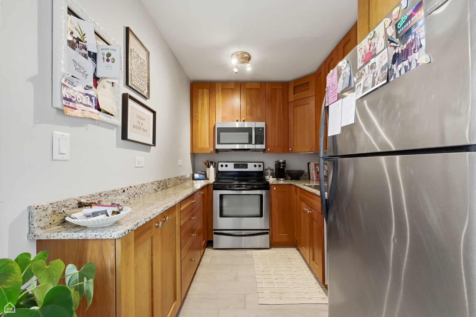 3033 N Sheridan Road 1609