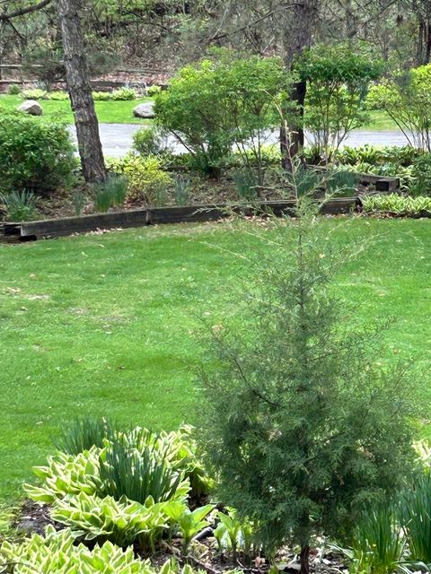 Tiny photo for 12604 S Hillcreek Drive, Palos Park, IL 60464 (MLS # 12650258)