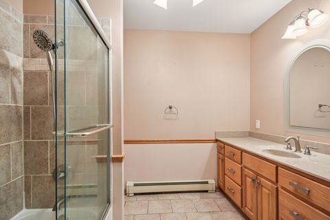 Tiny photo for 407 Ottawa Street, Morris, IL 60450 (MLS # 12607055)