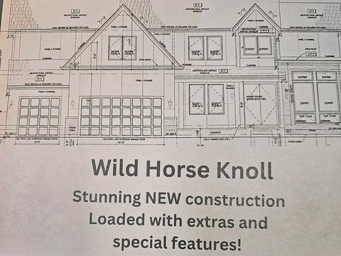 12029 S Stallion Drive Plainfield IL 60585