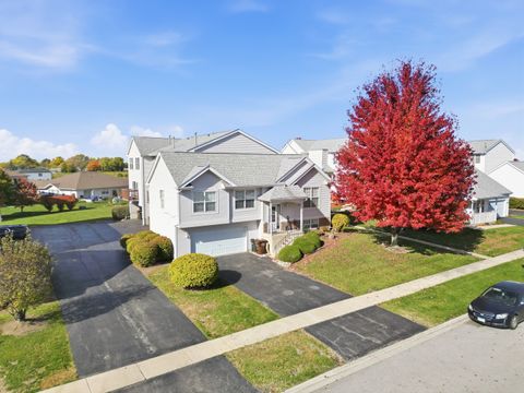 Tiny photo for 1452 Fox Hound Trail, Beecher, IL 60401 (MLS # 12508811)