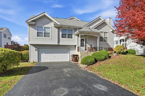 Tiny photo for 1452 Fox Hound Trail, Beecher, IL 60401 (MLS # 12508811)