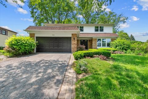 506 S Brighton Lane Palatine IL 60067