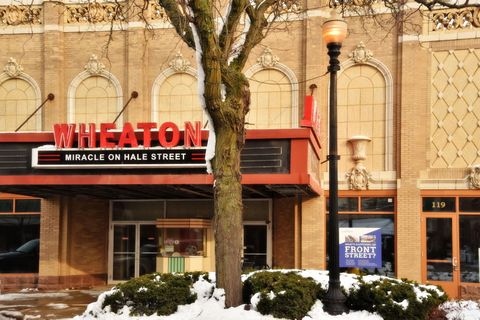 Tiny photo for 24 Winners Cup Circle, Wheaton, IL 60189 (MLS # 12530608)