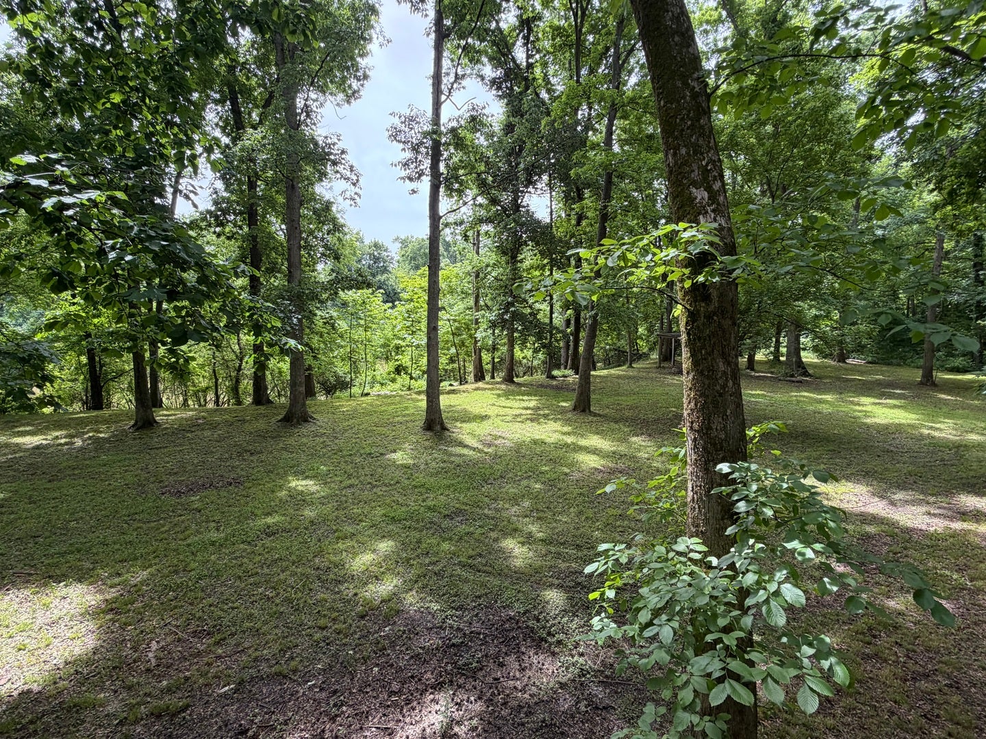 00 Shoemaker Drive