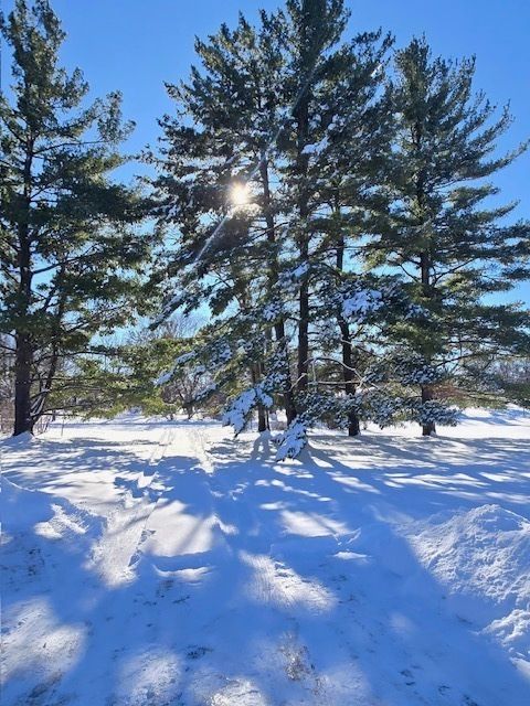 Tiny photo for 19066 Woodland Trail, Bloomington, IL 61705 (MLS # 12564519)