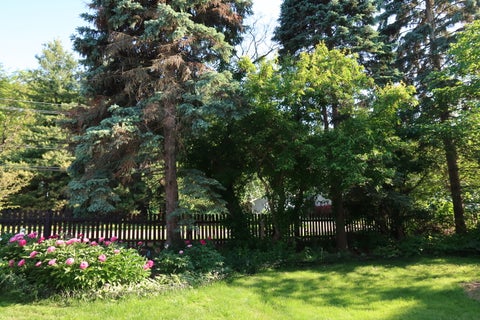 Tiny photo for 304 N Worth Avenue, Elgin, IL 60123 (MLS # 12769242)