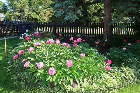 Tiny photo for 304 N Worth Avenue, Elgin, IL 60123 (MLS # 12769242)