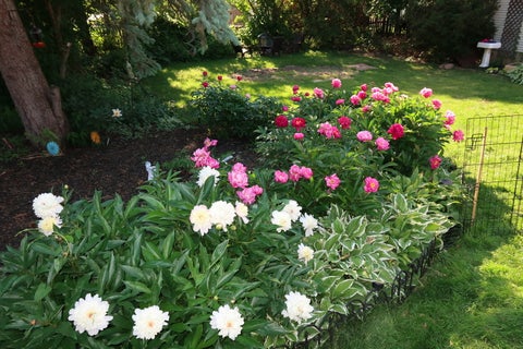 Tiny photo for 304 N Worth Avenue, Elgin, IL 60123 (MLS # 12769242)