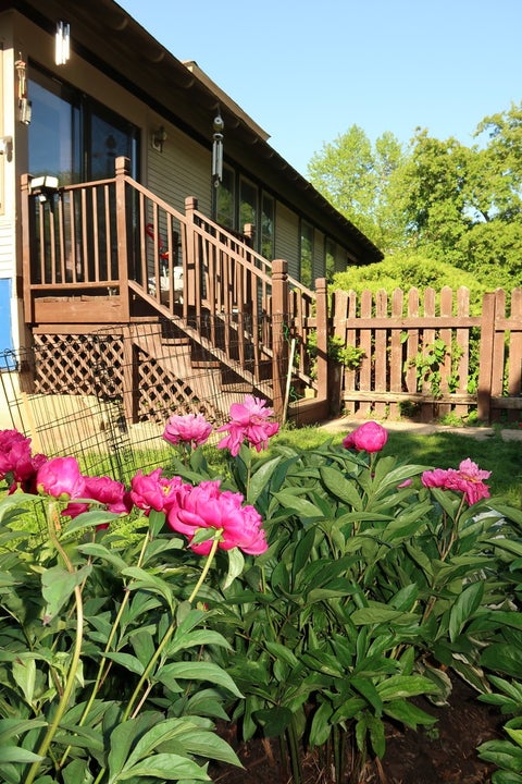 Tiny photo for 304 N Worth Avenue, Elgin, IL 60123 (MLS # 12769242)