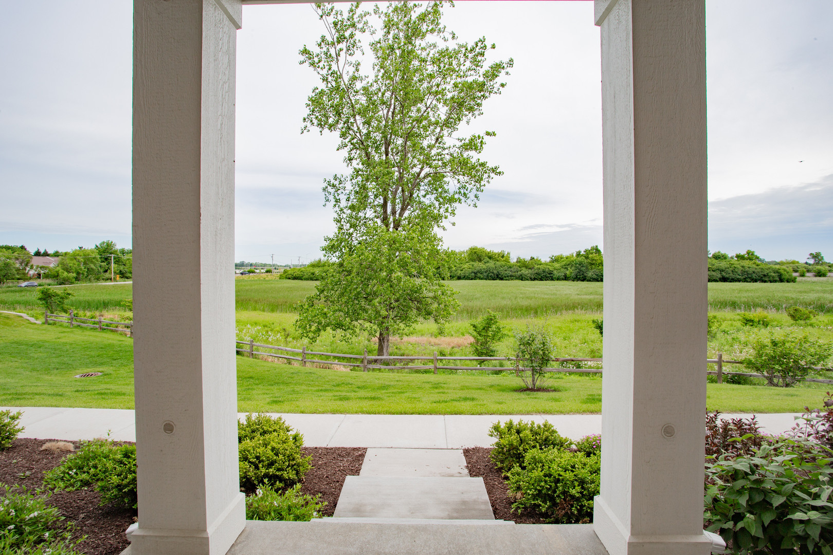 316 Timberleaf Circle