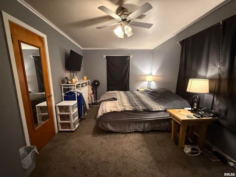 Tiny photo for 706 N MAPLE Street, Benton, IL 62812 (MLS # EB460562)