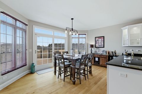 Tiny photo for 25230 S Tuscany Drive E, Monee, IL 60449 (MLS # 12569777)