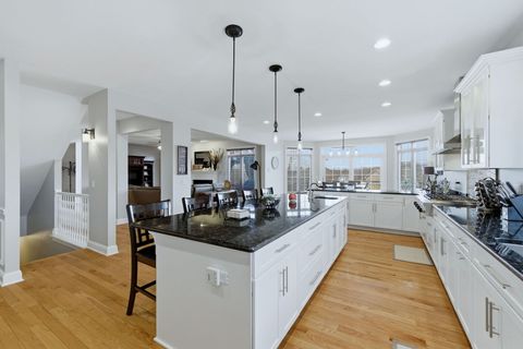 Tiny photo for 25230 S Tuscany Drive E, Monee, IL 60449 (MLS # 12569777)