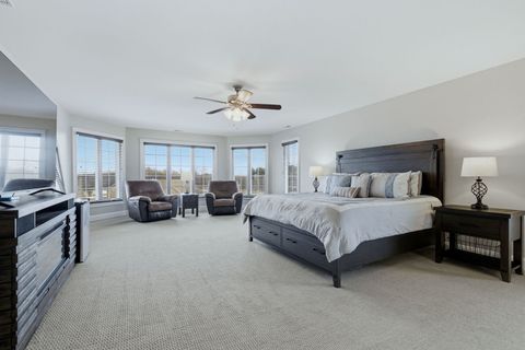 Tiny photo for 25230 S Tuscany Drive E, Monee, IL 60449 (MLS # 12569777)