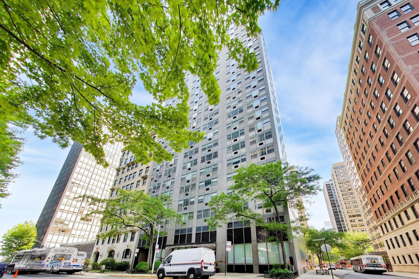253 E Delaware Place 12E